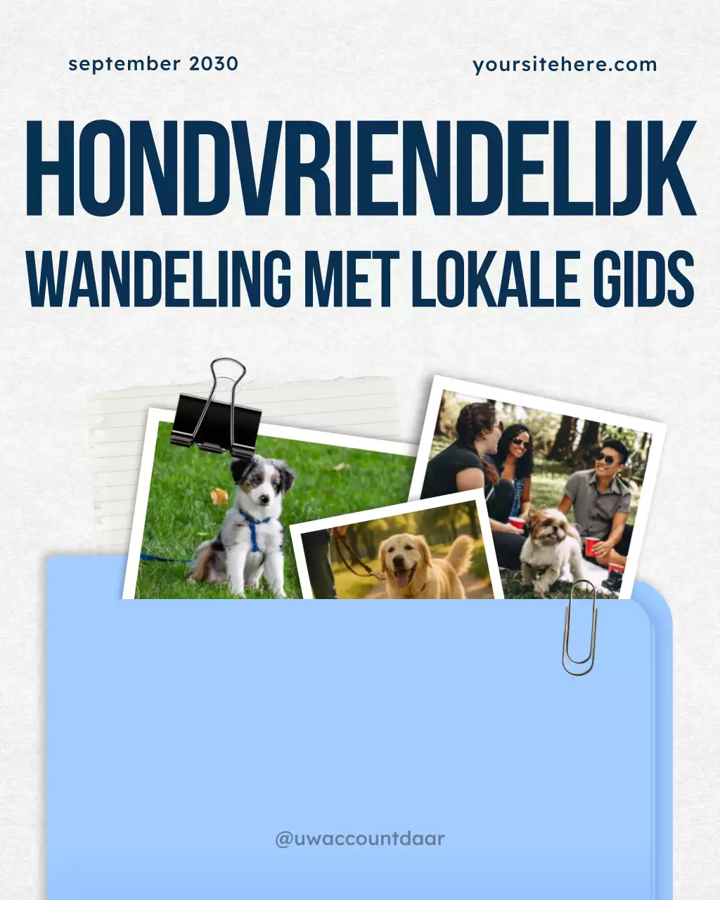 Instagram-bericht over de aankondiging van Blue Modern Pet-evenementen