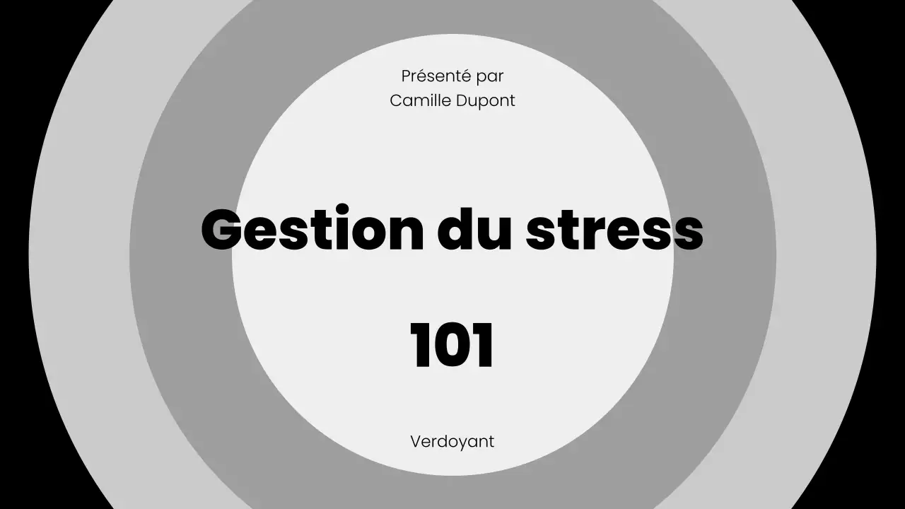 Présentation de la conférence Grey Minimal Stress