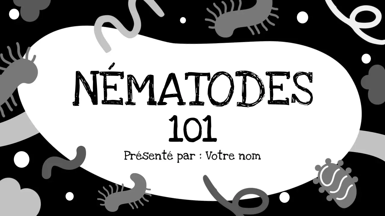 Présentation de la biologie minimaliste noire