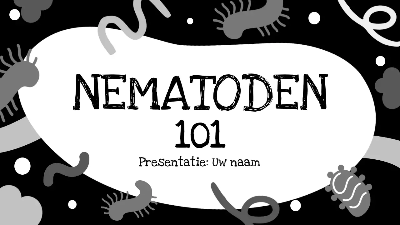 Presentatie over zwarte minimalistische biologie