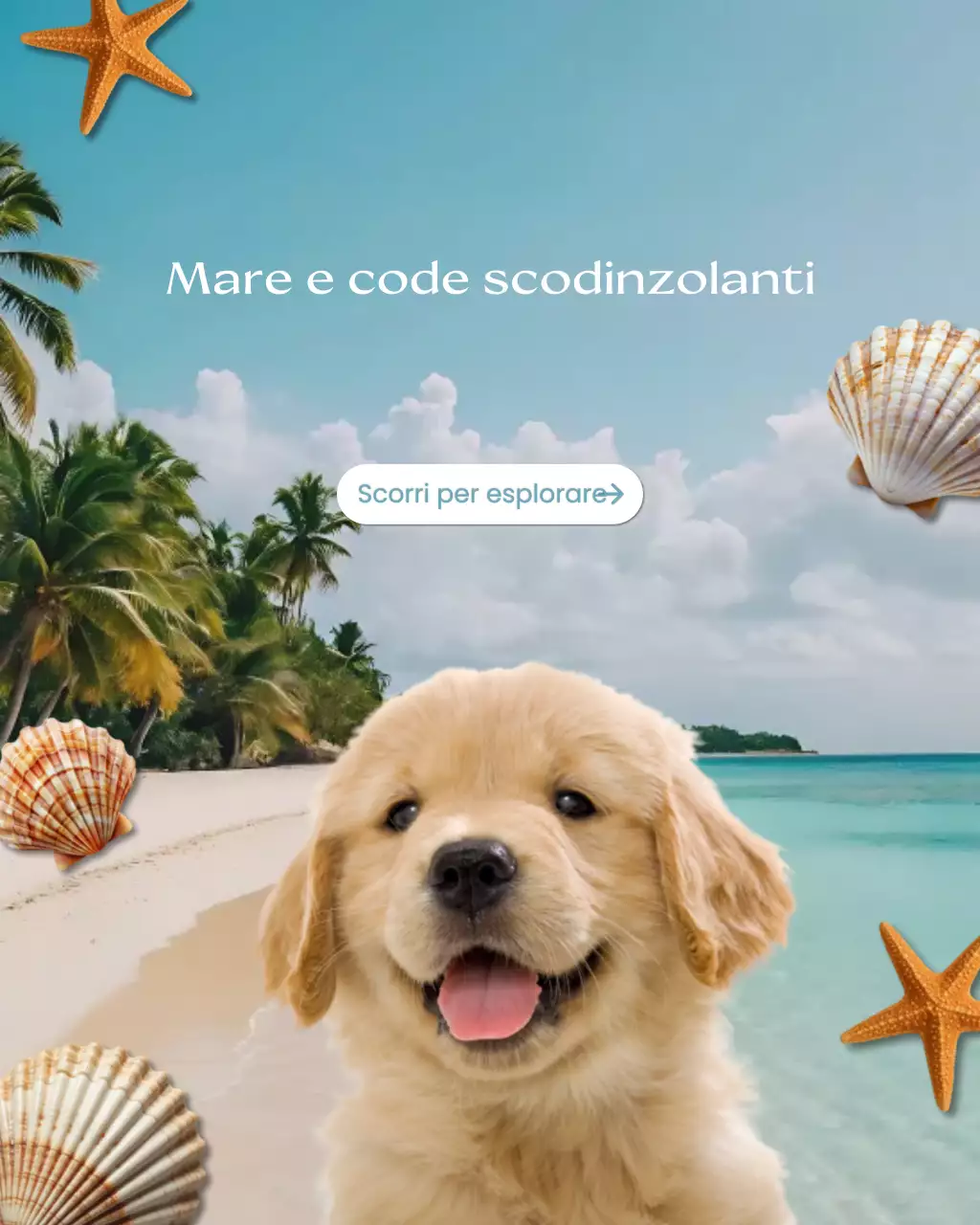 Pubblicità di Blue Tropical Pet Outdoor Activities Post su Instagram