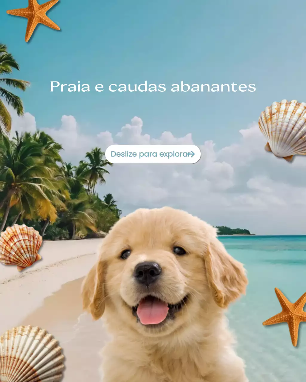 Publicação no Instagram sobre atividades ao ar livre para animais de estimação tropicais azuis