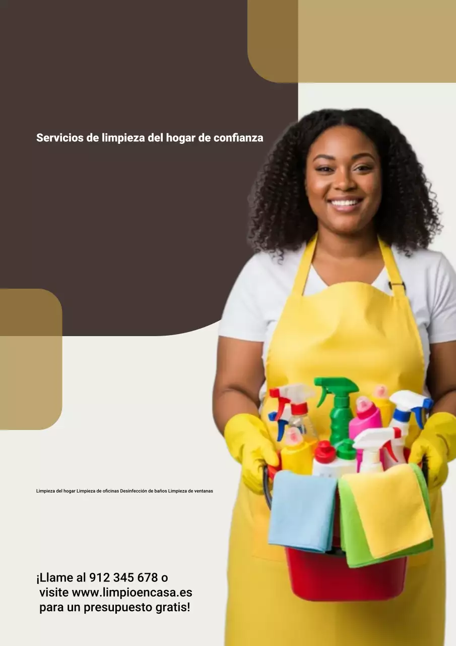 Cartel publicitario de limpieza profesional amarillo