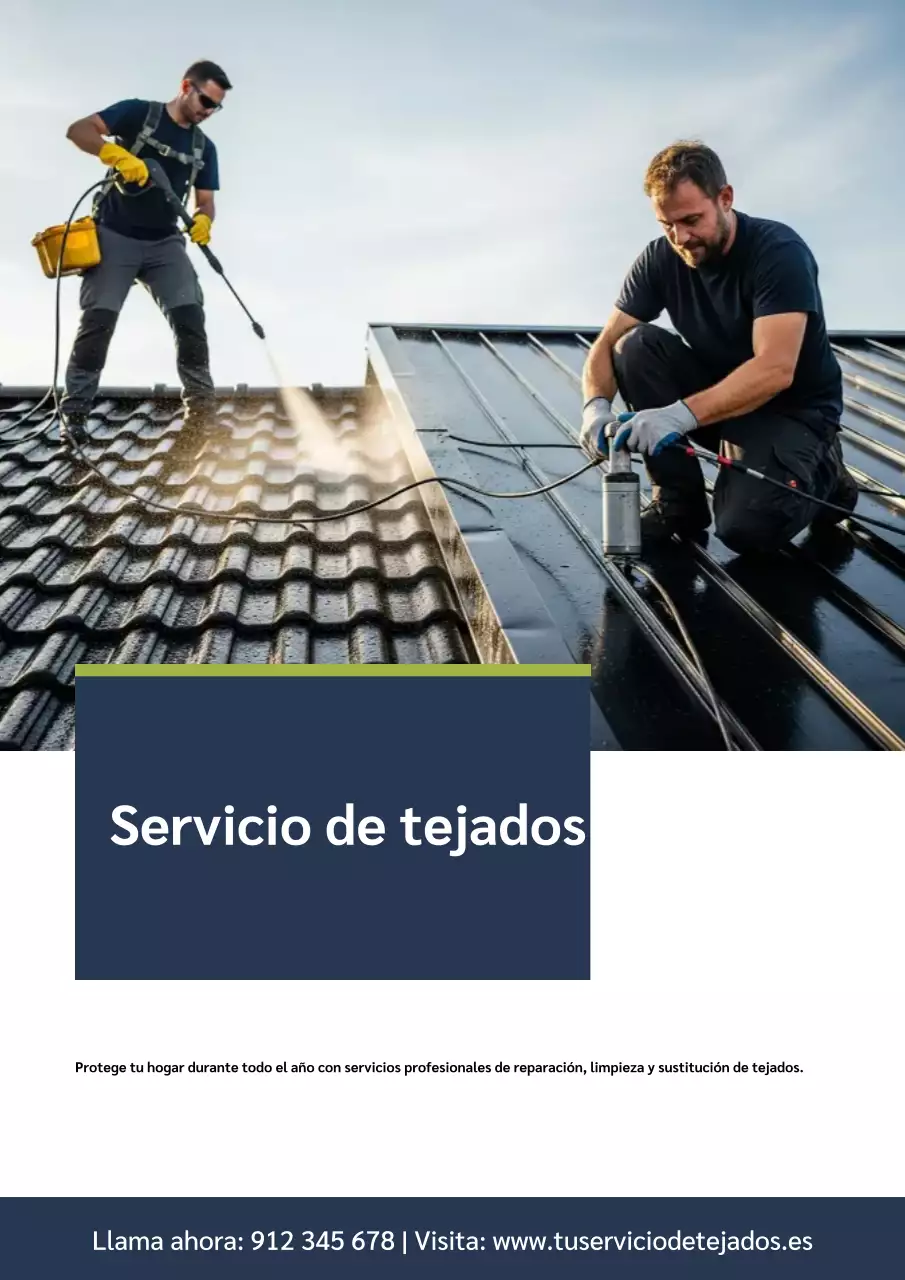 Afiche promocional de techado profesional de la Marina