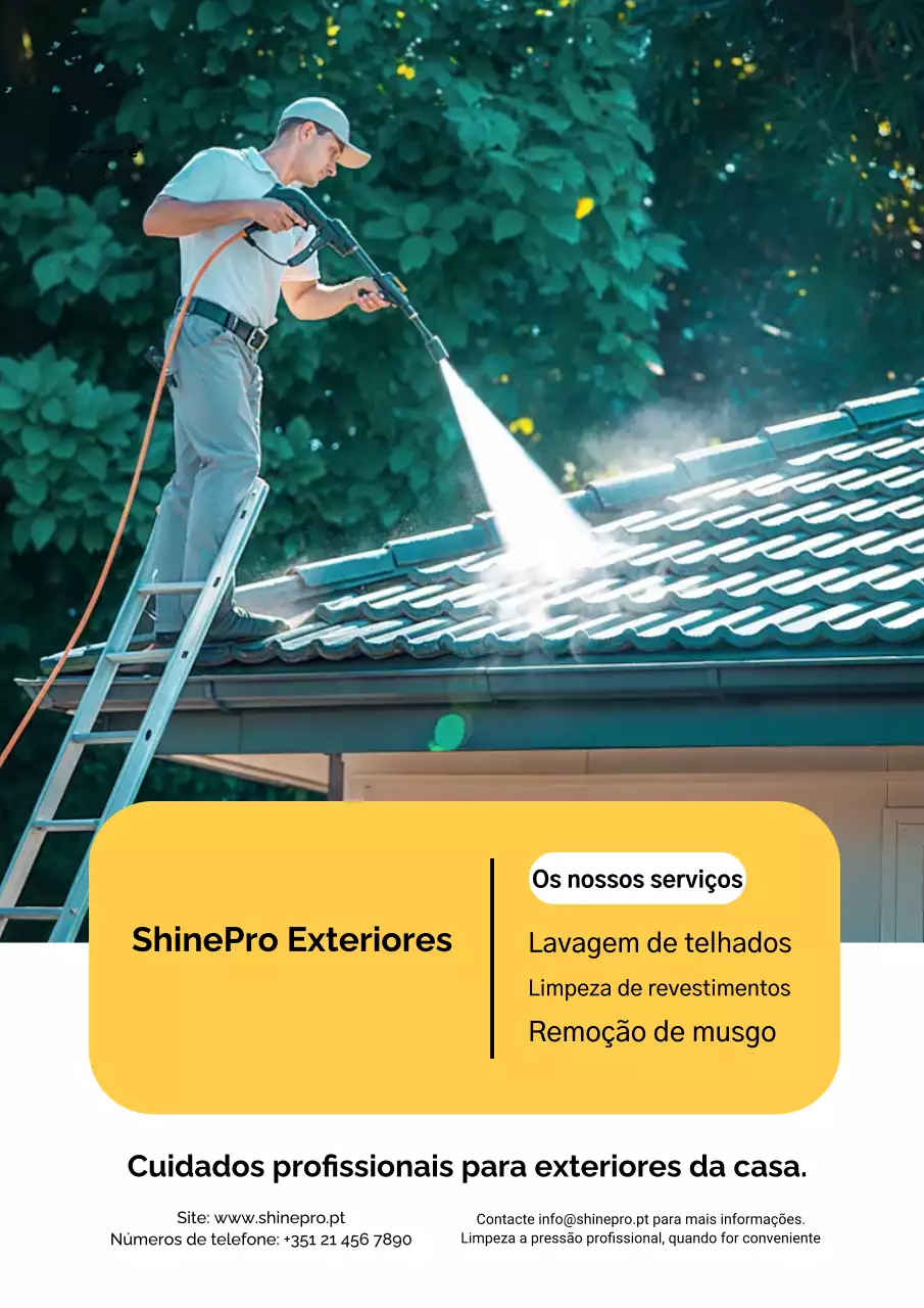 Cartaz de anúncio de limpeza profissional verde
