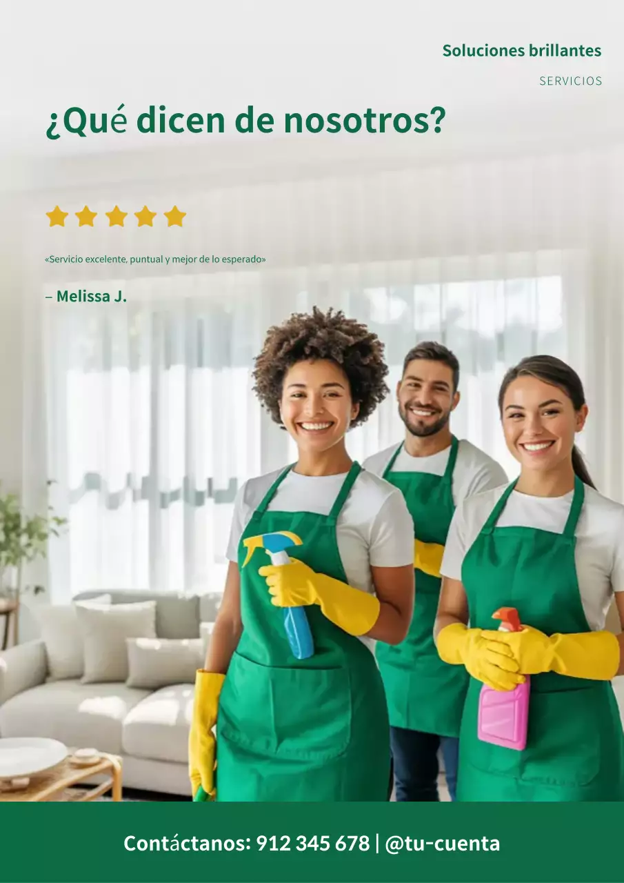 Cartel promocional de limpieza profesional ecológica