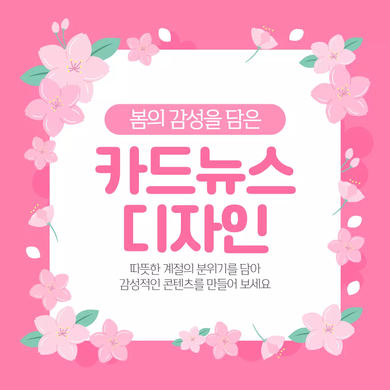 핑크 감성적인 벚꽃 봄 콘텐츠