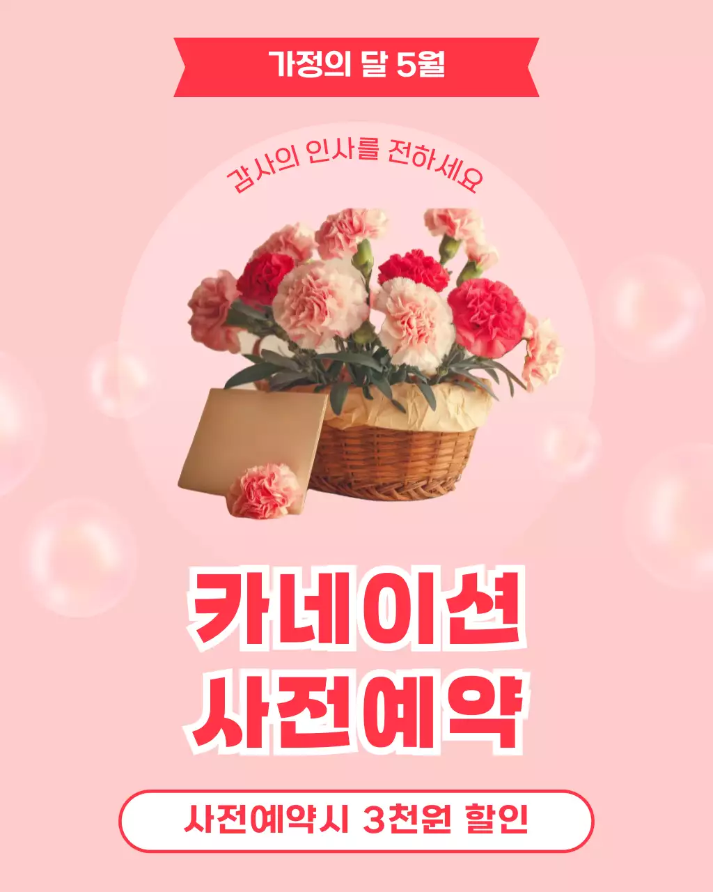 핑크 아기자기한 카네이션 사전예약 안내
