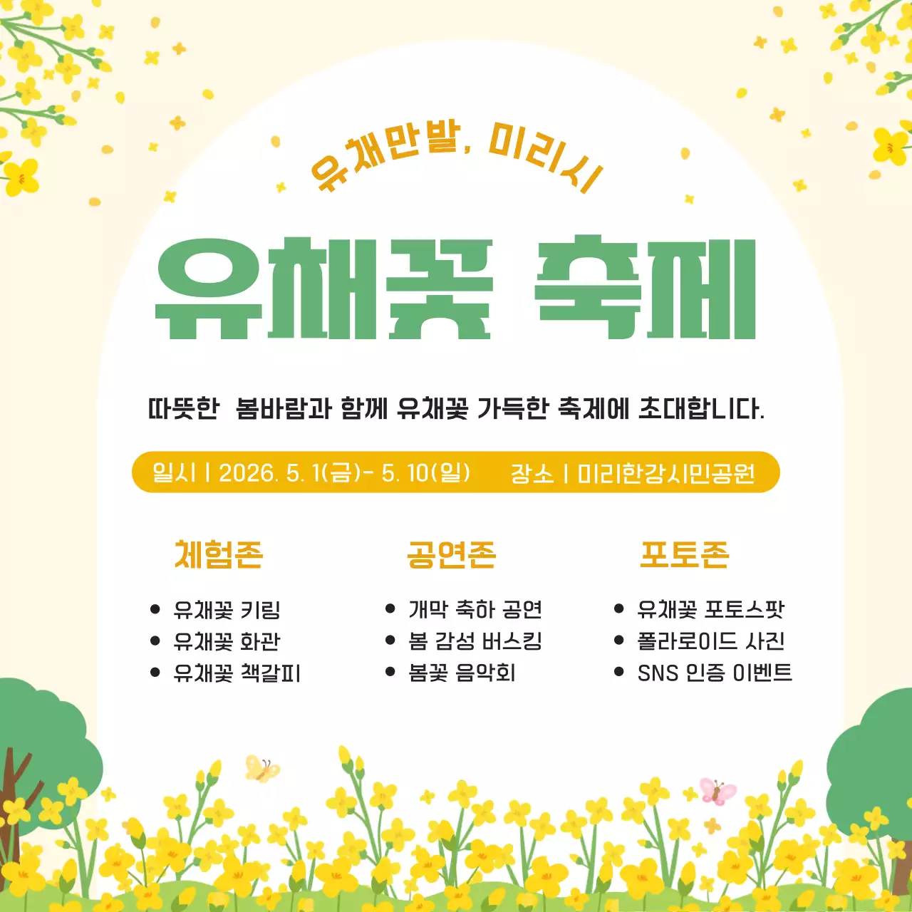 노랑 깔끔 유채꽃 축제 안내