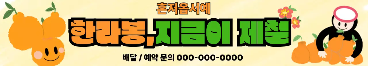 주황 심플 제주 한라봉 판매 홍보