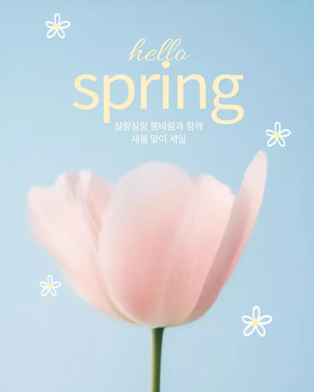 분홍 아기자기한 봄 세일 홍보