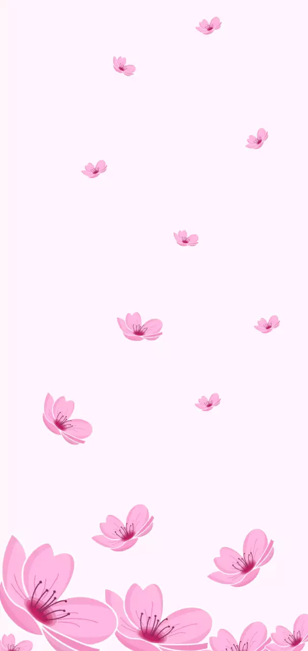 분홍색 벚꽃 꽃잎으로 장식된 단순한 사랑의 엽서