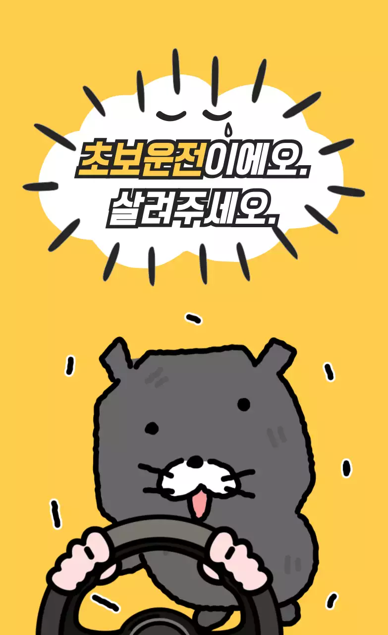 노랑 심플 초보운전 안내문