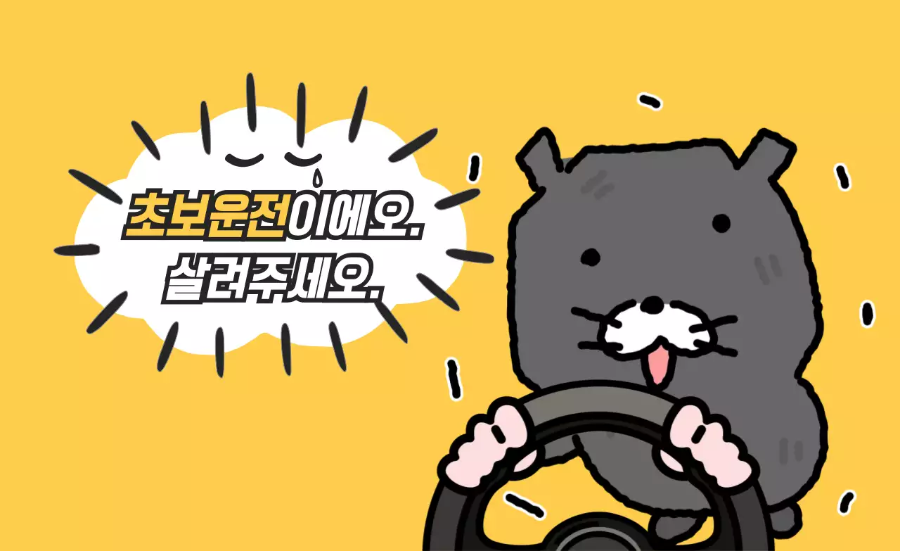 노랑 심플 초보운전 안내문