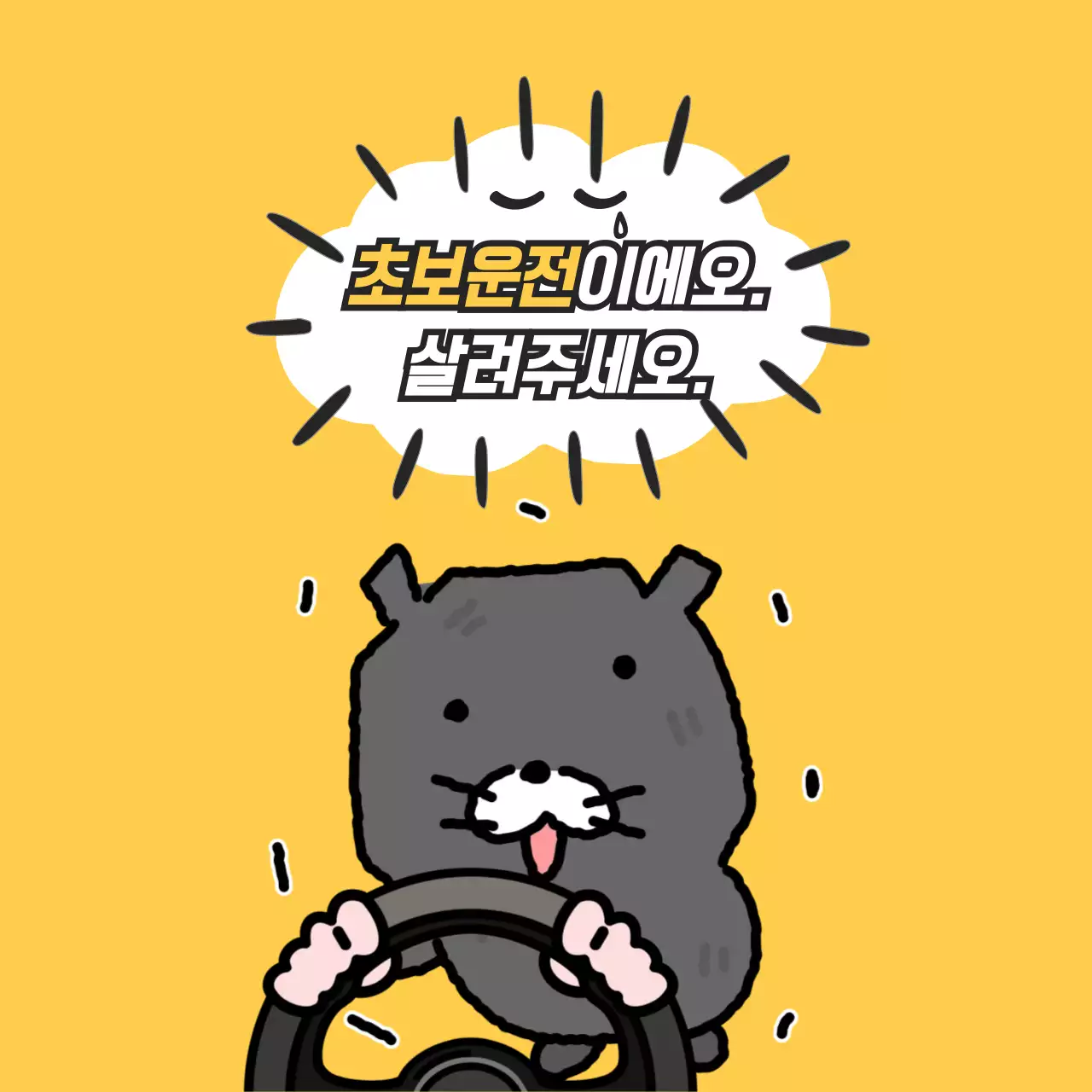 노랑 심플 초보운전 안내문