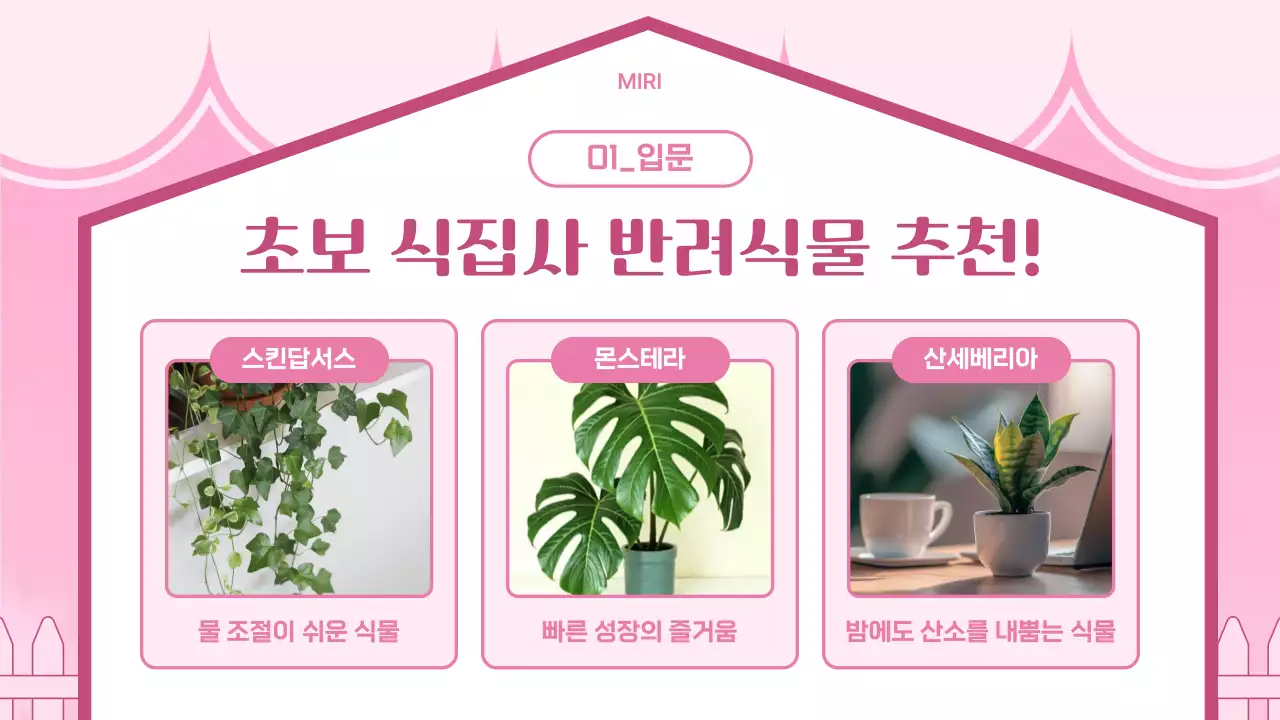 핑크 아기자기한 반려식물 안내