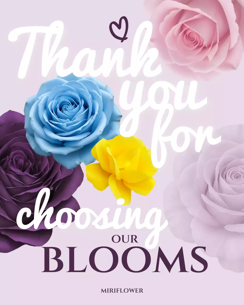 연보라 깔끔 꽃 감사 인사