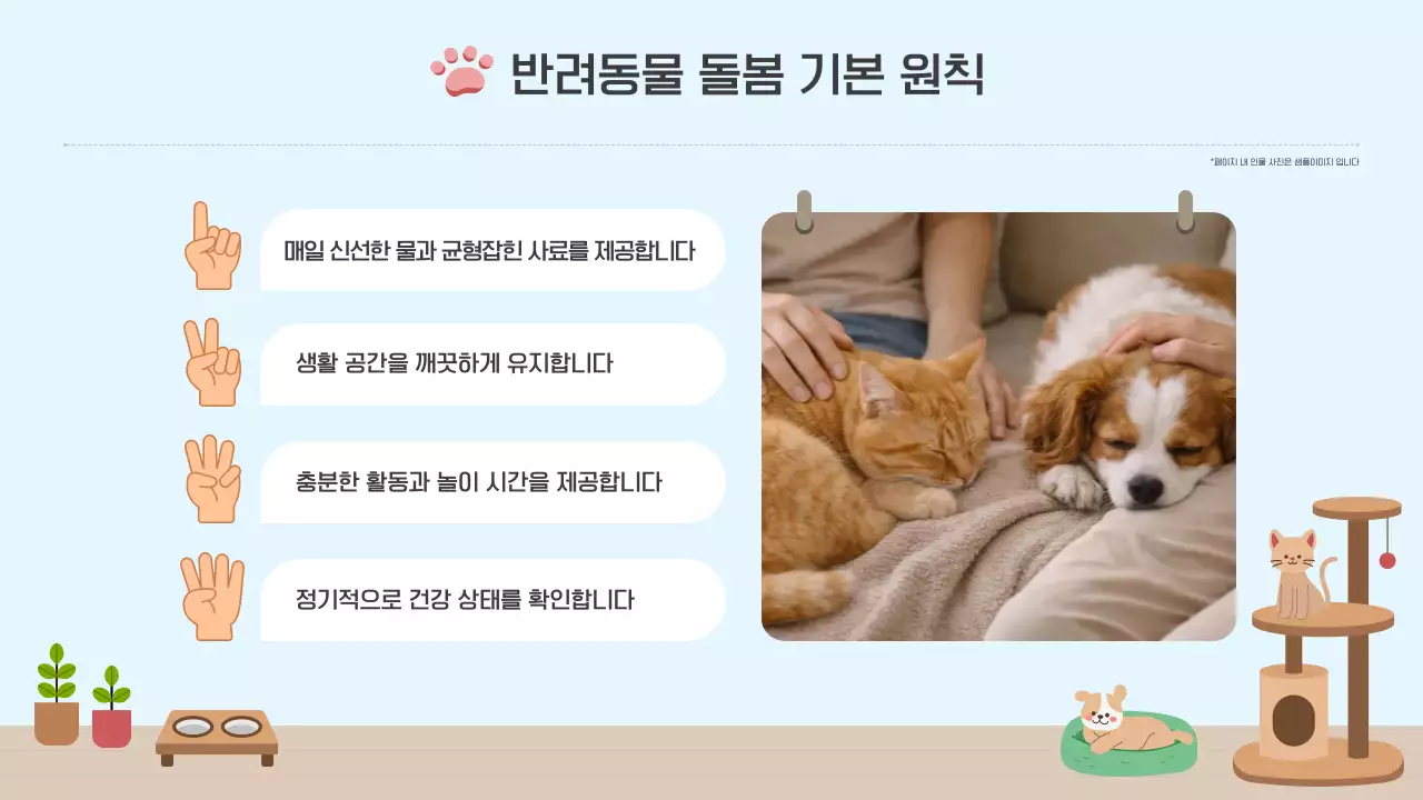 파랑 심플 반려동물 돌봄 가이드 안내