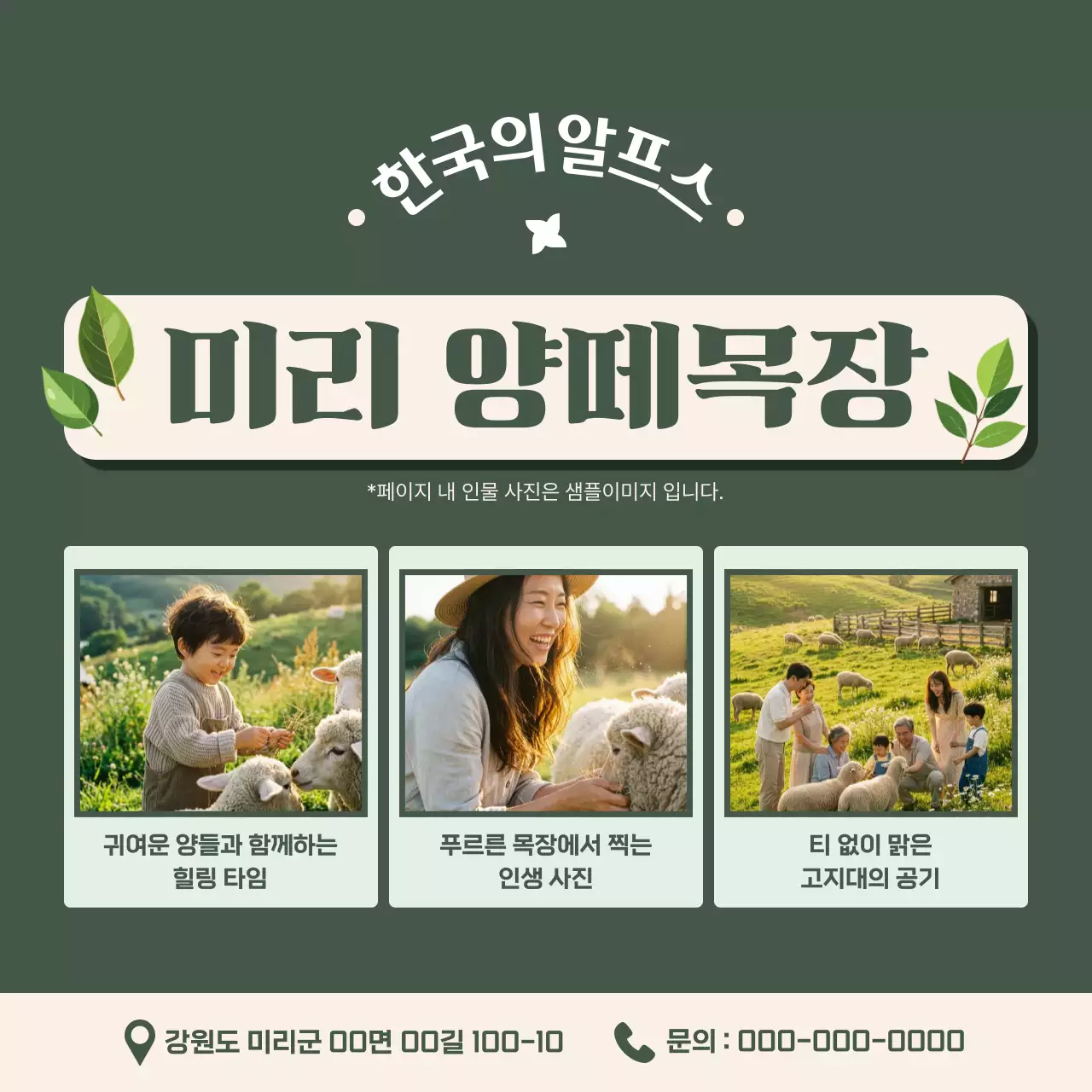 카키 깔끔 한국의 알프스 힐링 안내