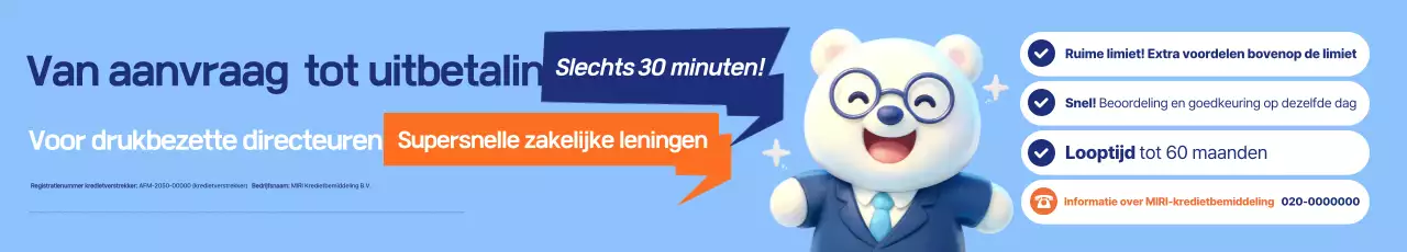 Gids voor leningen aan kleine bedrijven van Blue Neat
