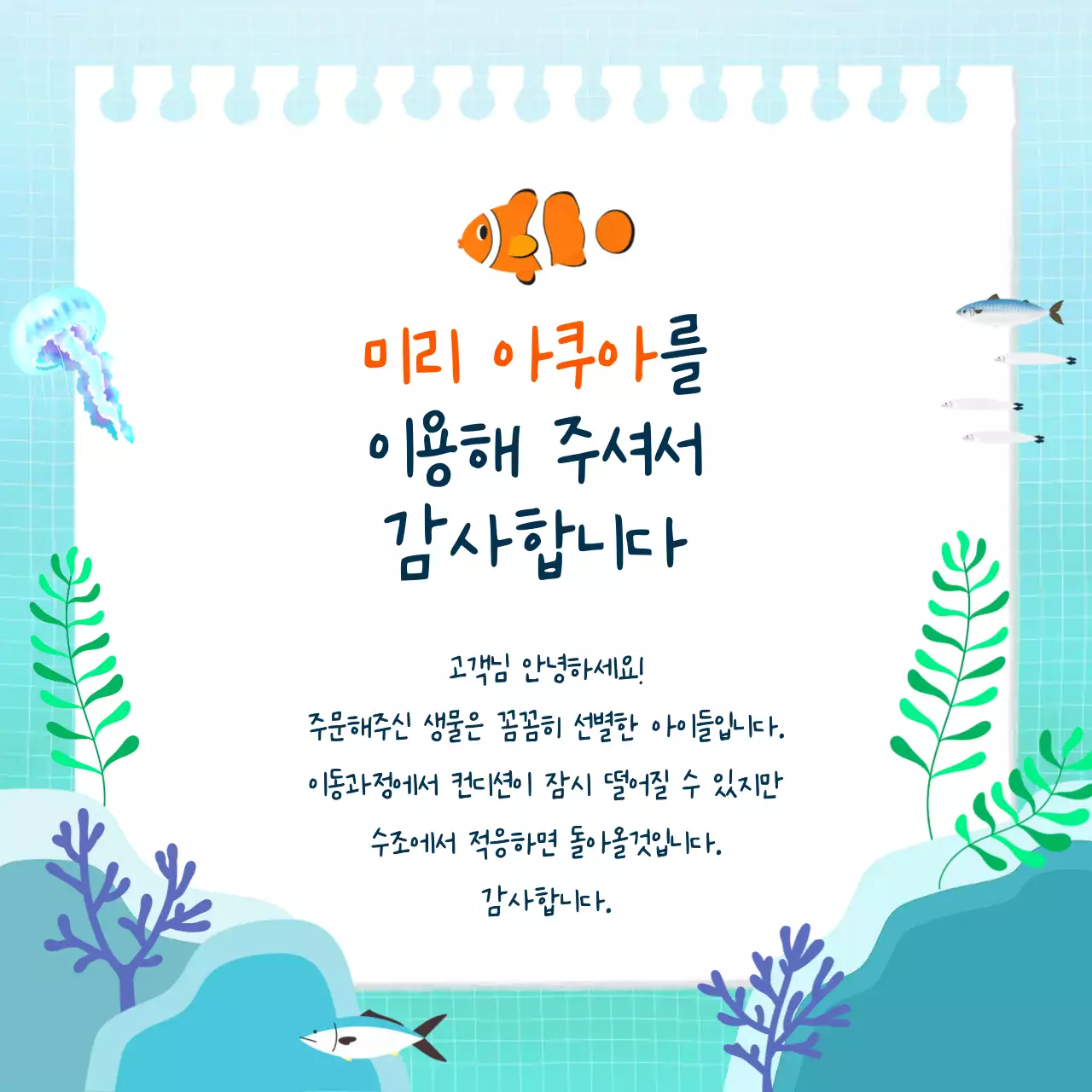 하늘색 깔끔 아쿠아 구매 감사 편지