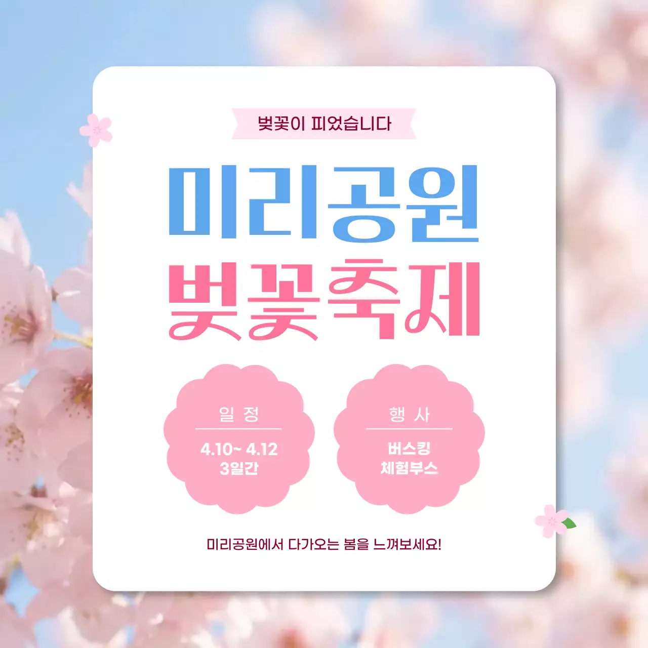 분홍색 화사한 봄 나들이 벚꽃 축제 안내