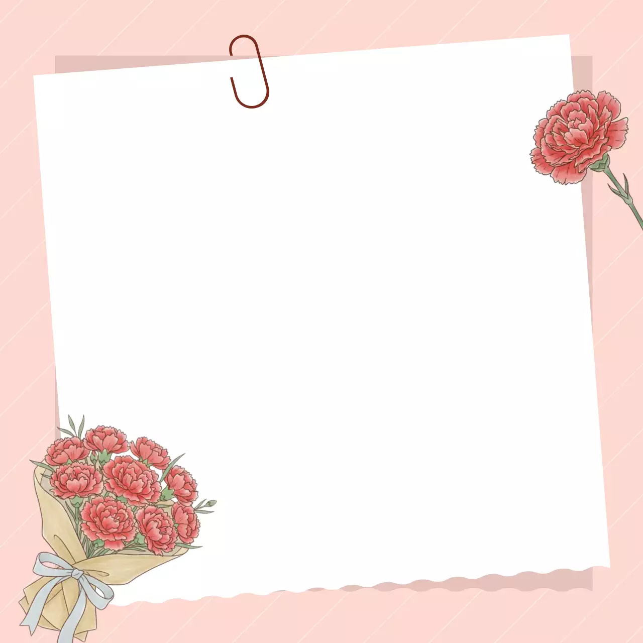 핑크 아기자기한 카네이션