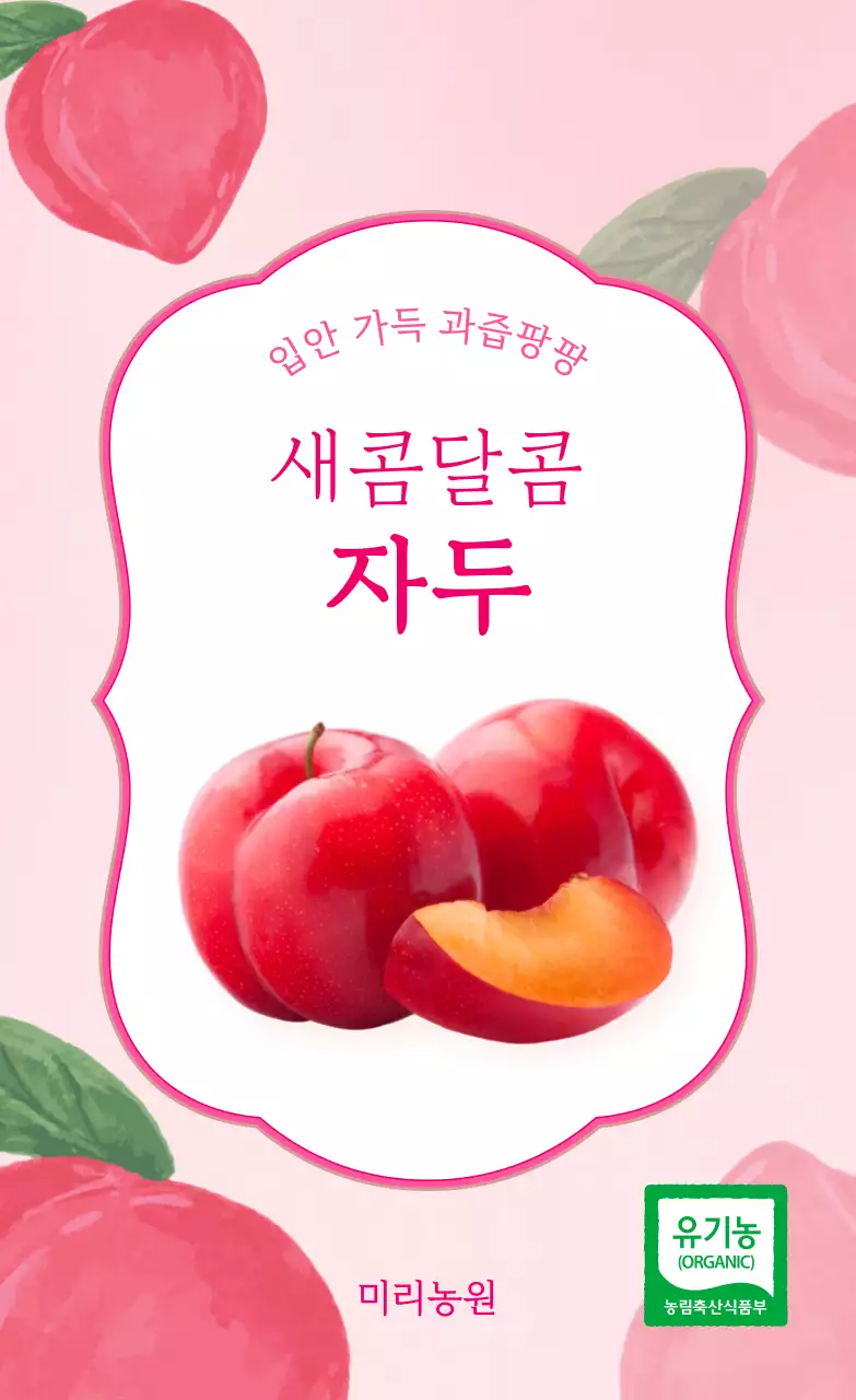 분홍색 아기자기한 자두 홍보