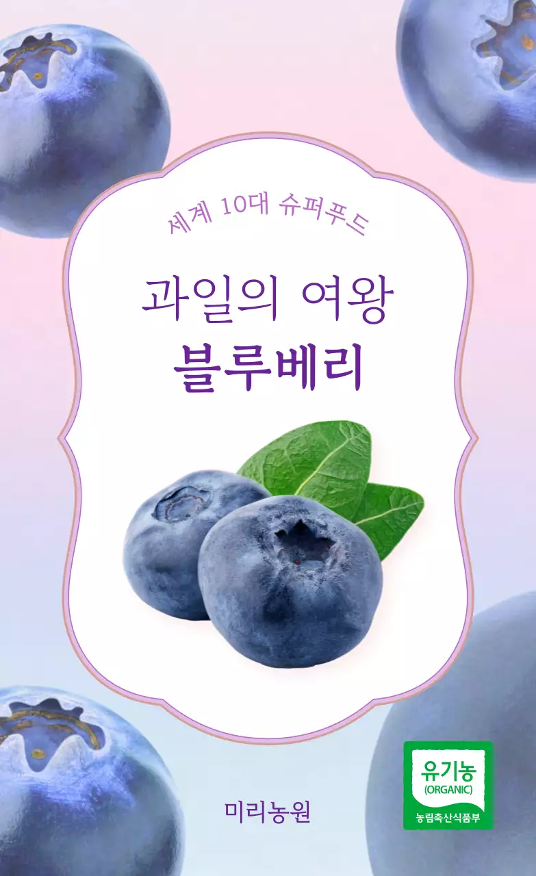 보라색 아기자기한 블루베리 홍보