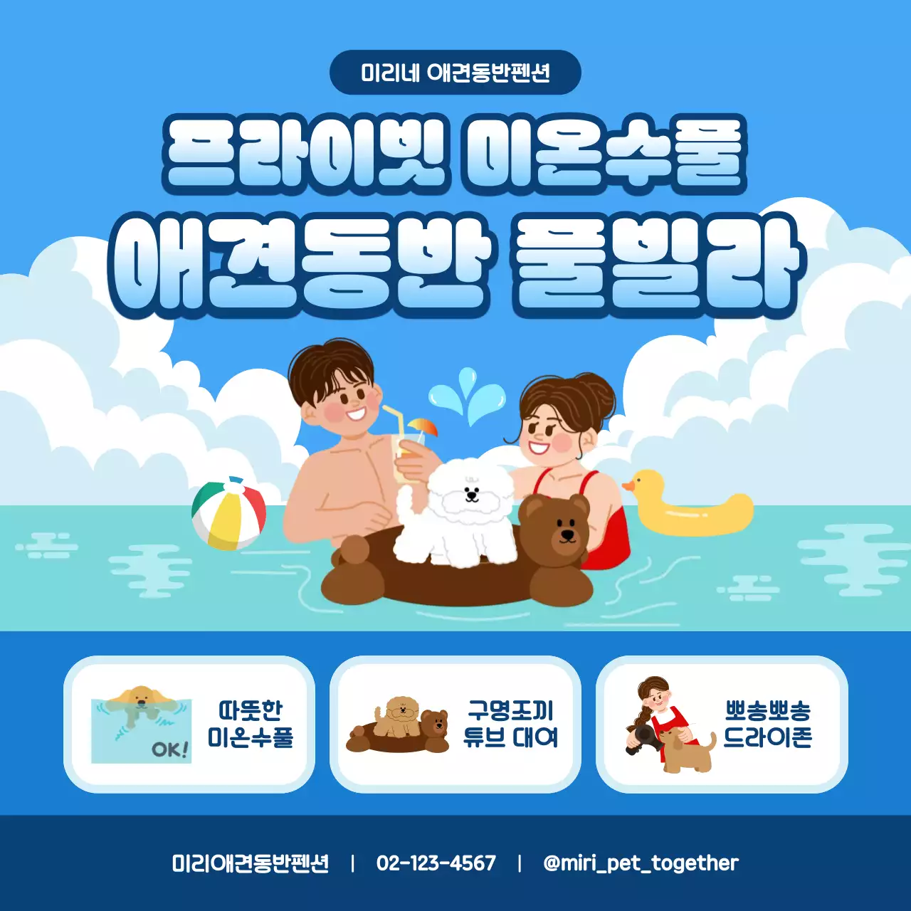 파랑 깔끔 애견동반 수영장 홍보