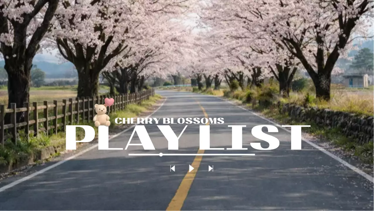 분홍색 깔끔 벚꽃길 플레이리스트 홍보