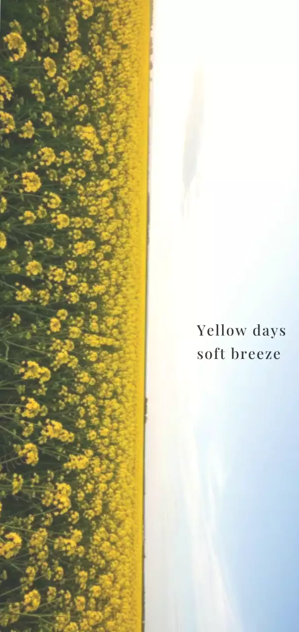 노랑 심플 자연 일기