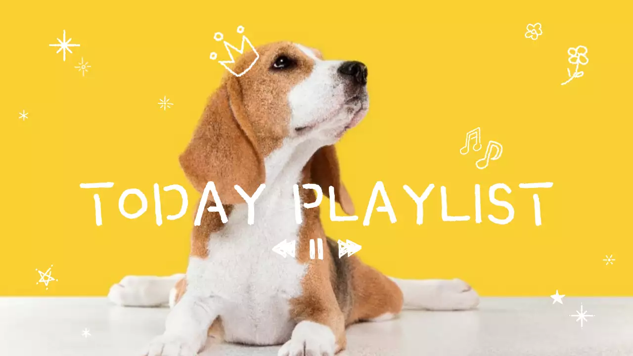 노랑 심플 반려동물 음악재생 홍보