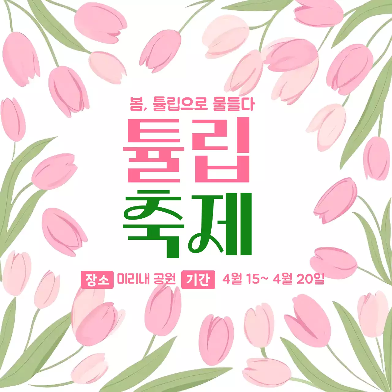 핑크 아기자기한 튤립축제 안내