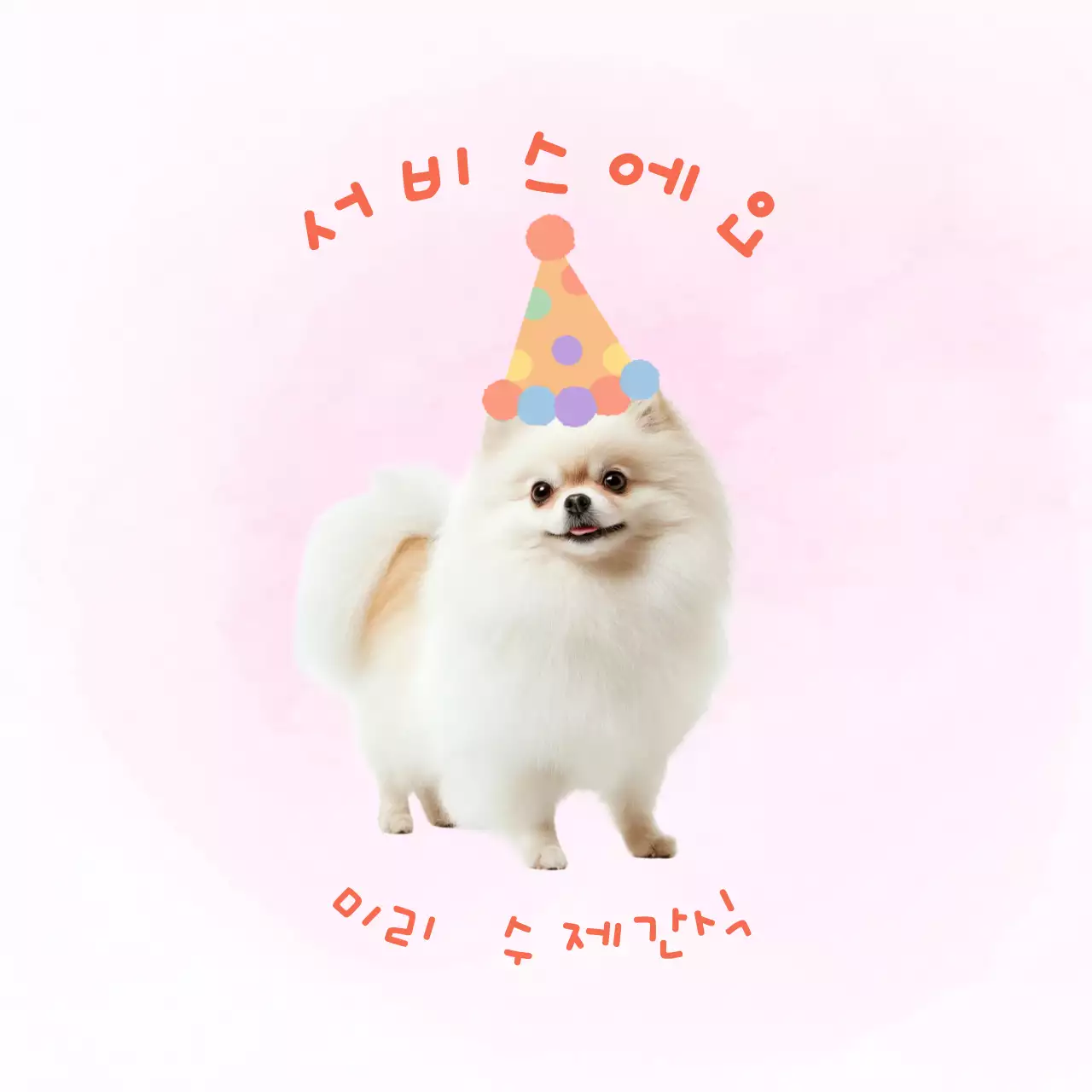 핑크 아기자기한 반려동물 간식 안내