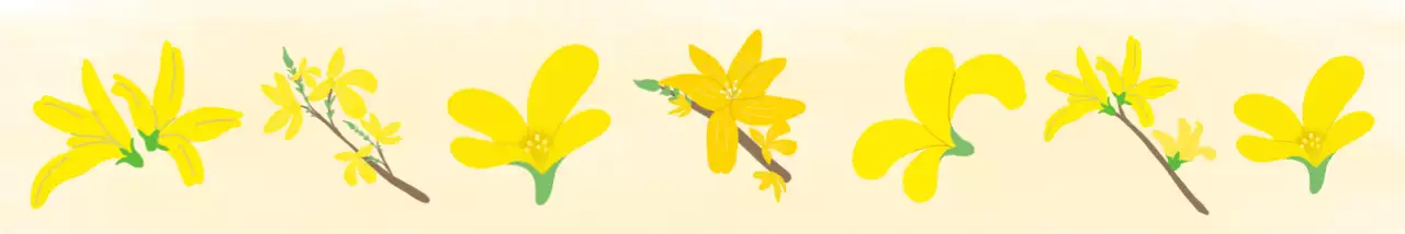 노란색 단순 봄개나리  스티커