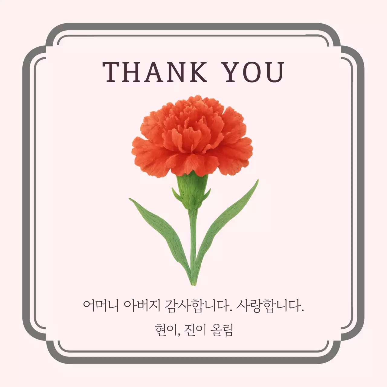 분홍 심플 카네이션 일러스트 어버이날 감사 인사