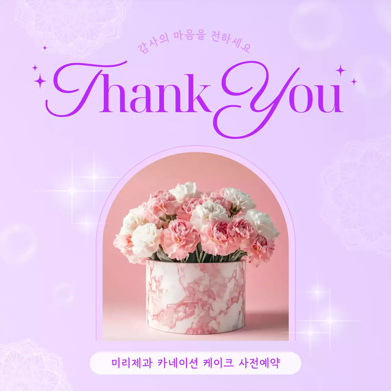 보라 심플 카네이션 케이크 예약 홍보