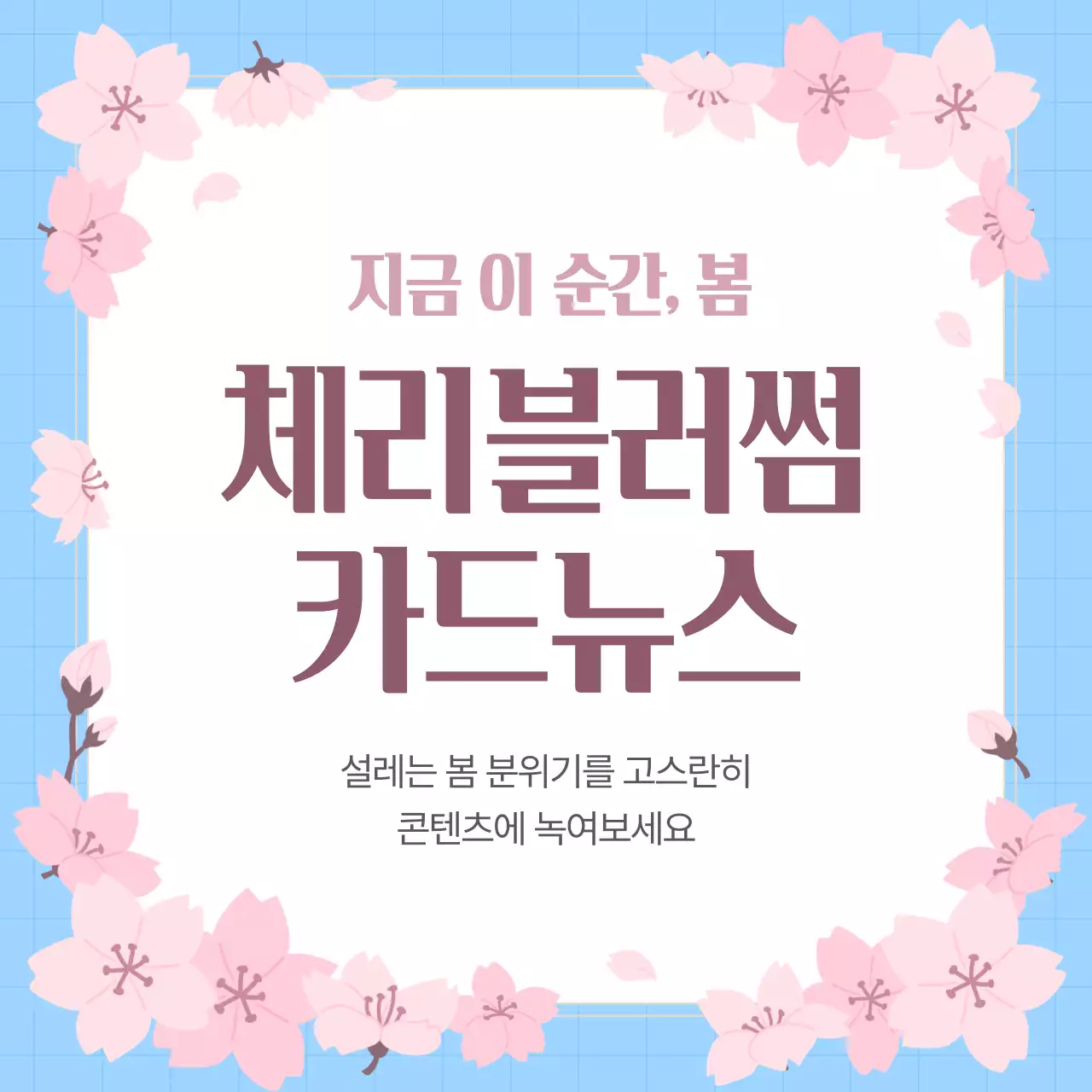 파랑 심플 봄 카드뉴스 홍보