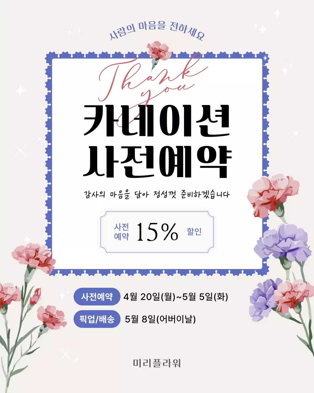 보라 깔끔 카네이션 사전예약 안내