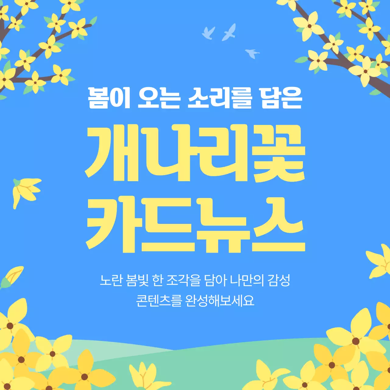 파랑 심플 개나리꽃 카드뉴스 홍보