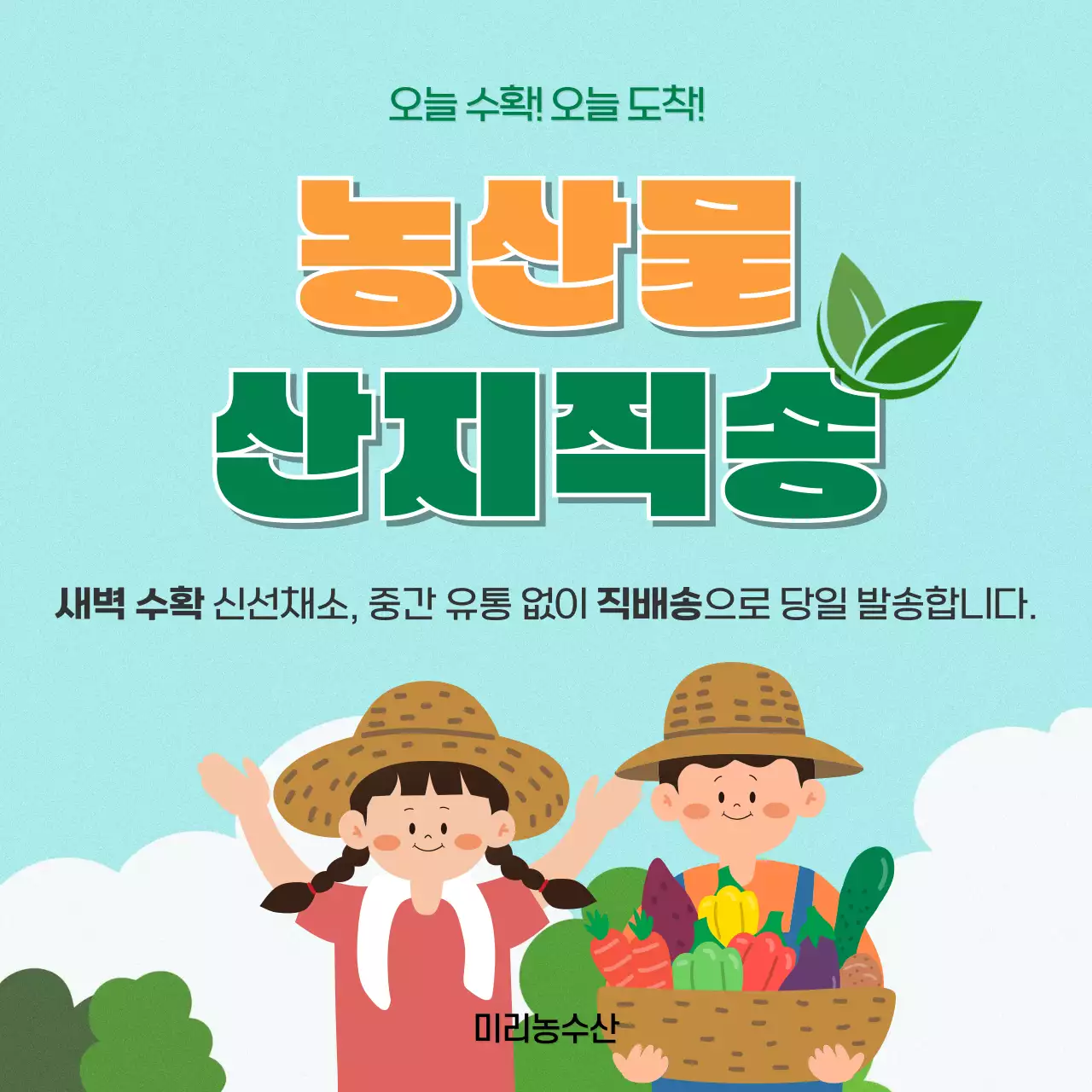 하늘색 깔끔 농산물 산지직송 홍보