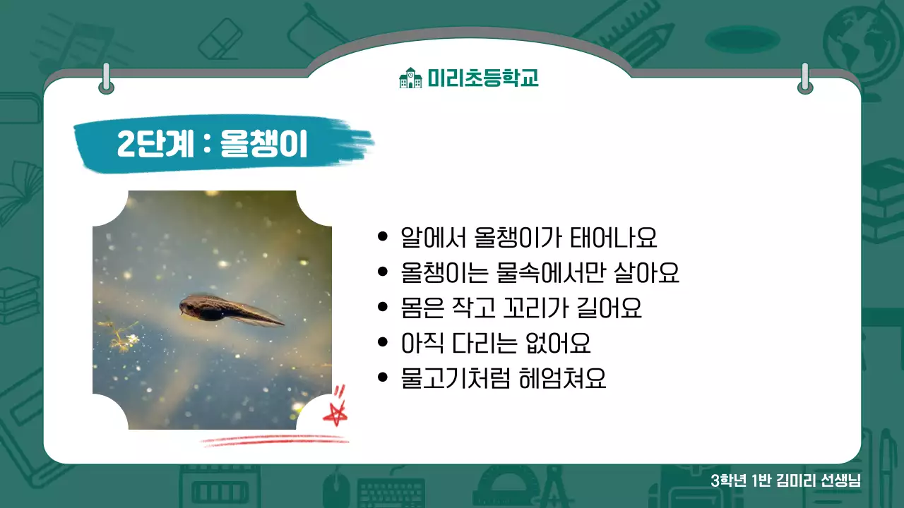 초록 심플 초등학교 수업 안내