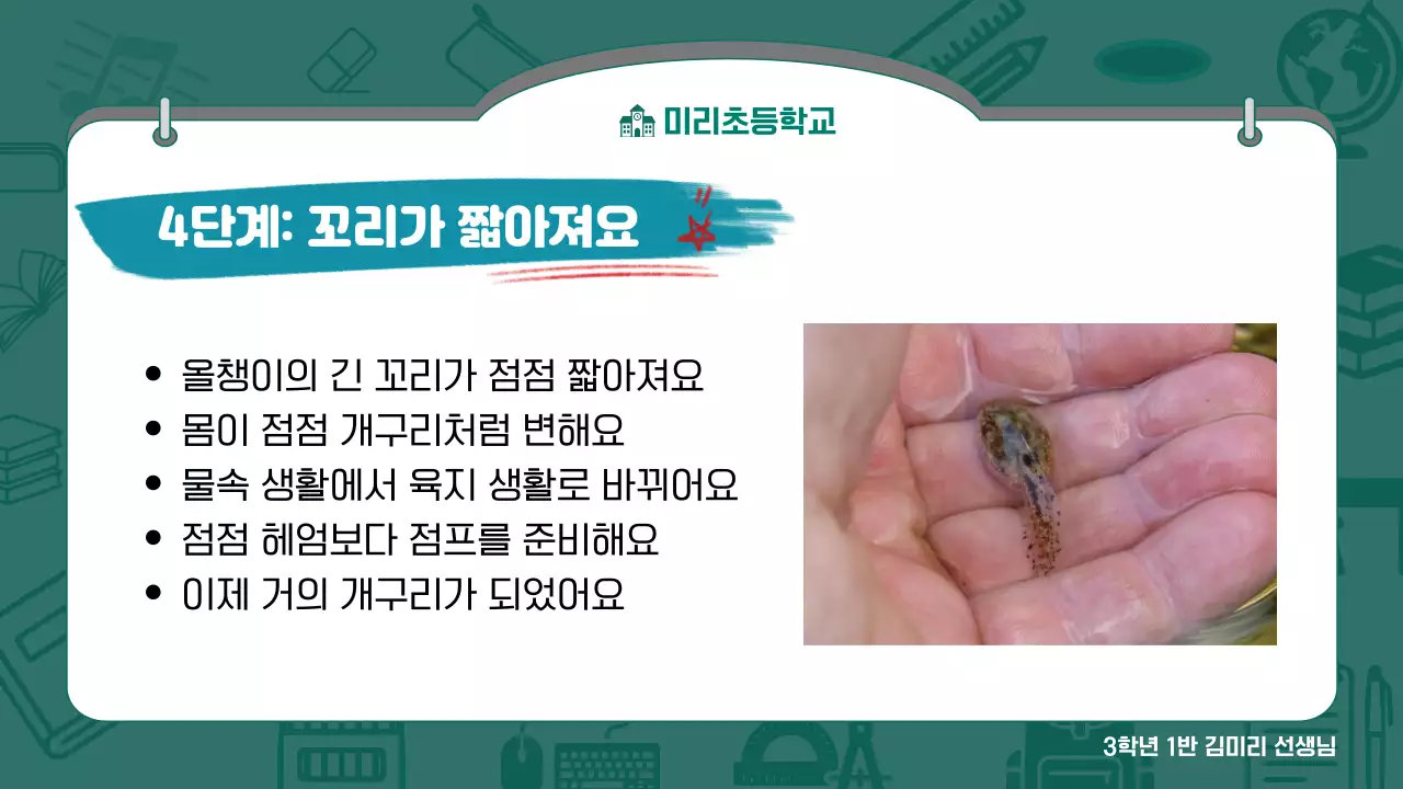 초록 심플 초등학교 수업 안내
