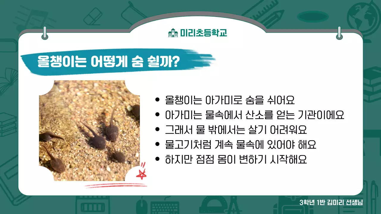 초록 심플 초등학교 수업 안내