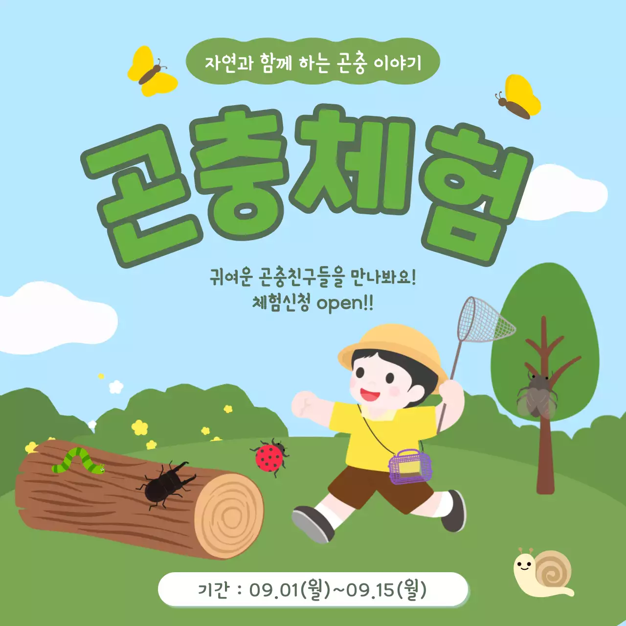 초록 심플 곤충체험 이벤트 안내