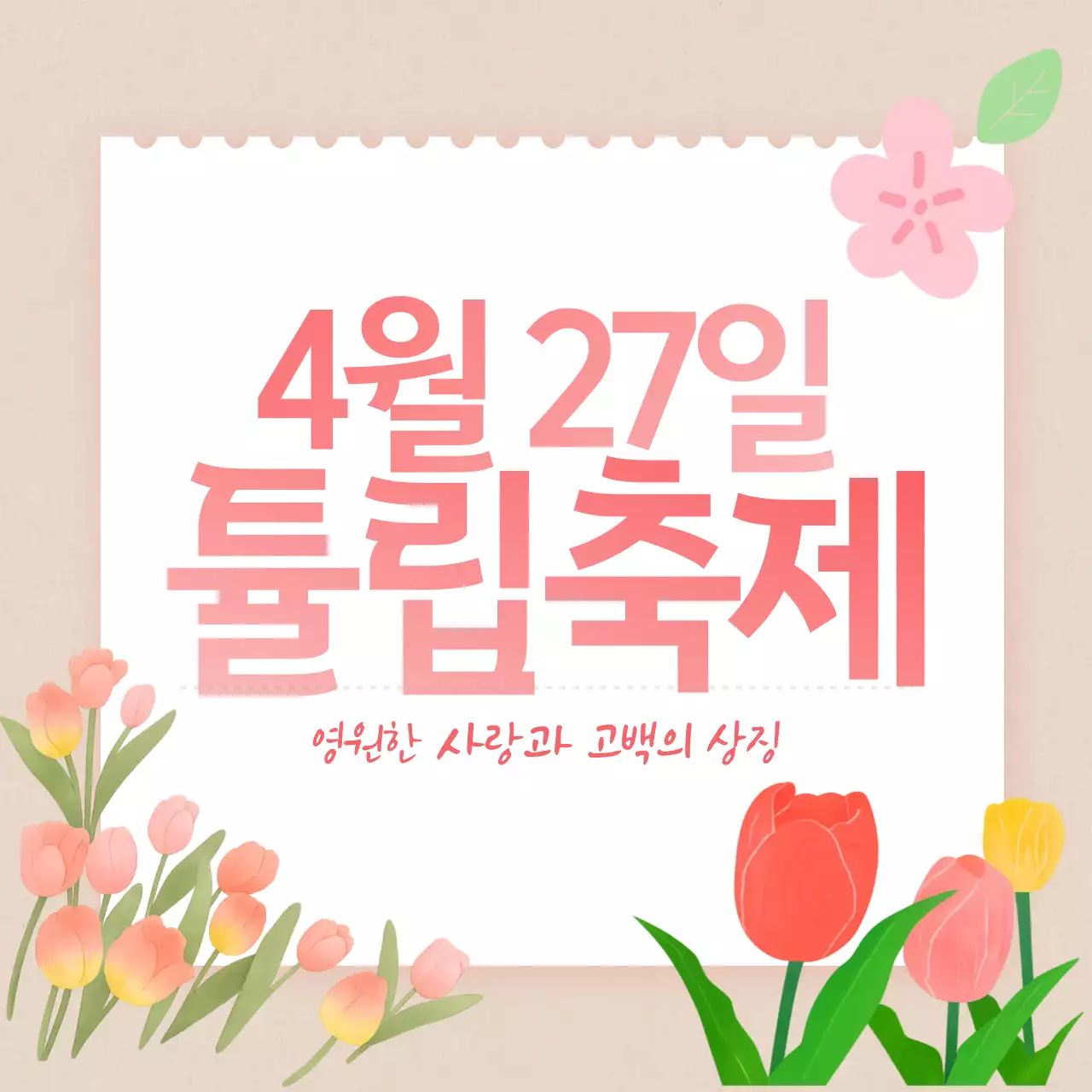 분홍색 튤립축제 안내