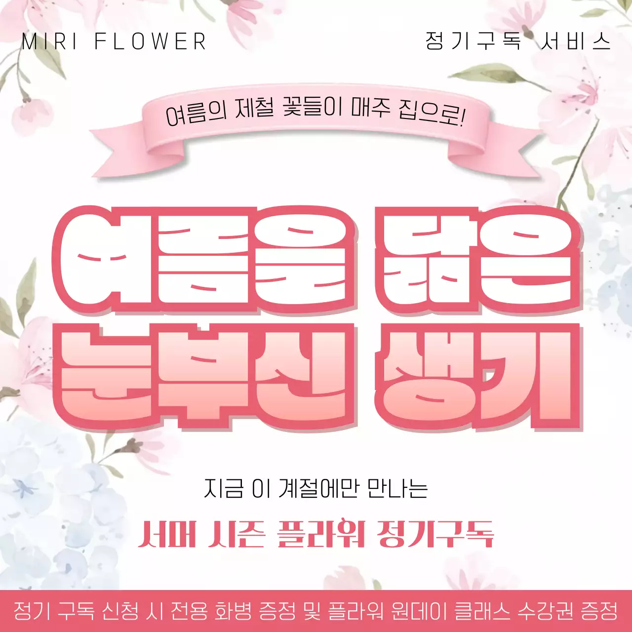 핑크 깔끔 플라워 정기구독 안내