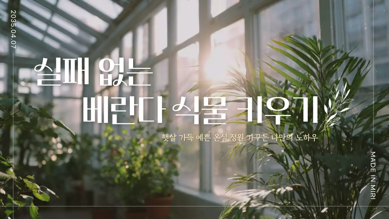 초록 심플 베란다 식물 키우기 안내