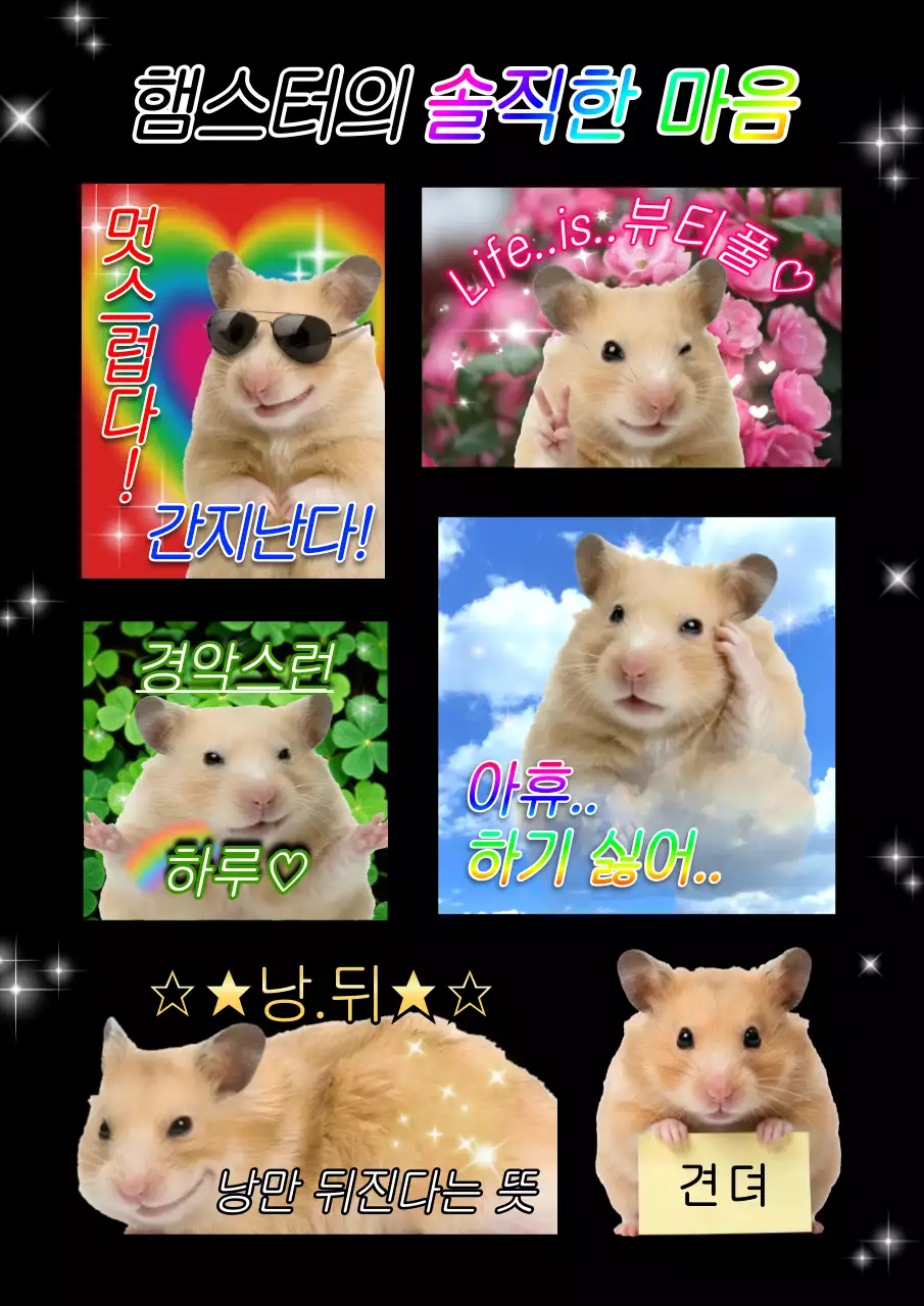 무지개 키치 햄스터 짤